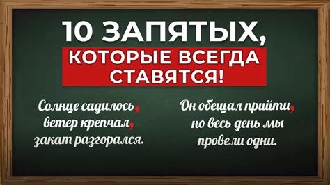 Как правильно ставить запятые в сложноподчиненных предложениях: примеры и задания