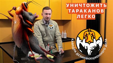 Как предотвратить появление насекомых в транспортном средстве