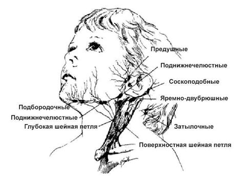 Как проверить состояние лимфоузлов на шее