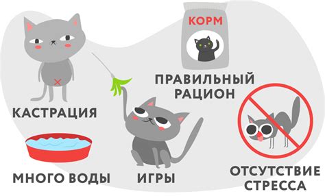 Как проводится диагностика Вик болезни у котов