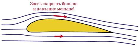 Как работает механизм для создания сладкой пушистости