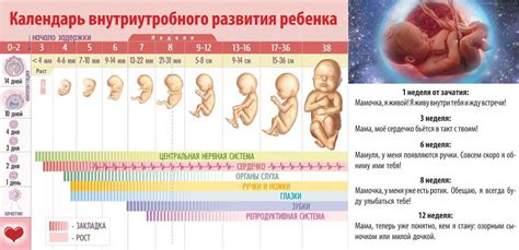 Как распознать движения малыша от других ощущений во время беременности