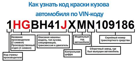 Как расшифровать уникальный идентификационный код и определить основные характеристики автомобиля