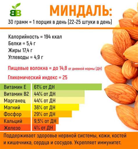 Как сохранить питательные свойства миндаля: советы по правильному хранению