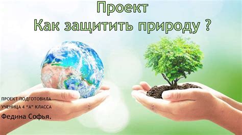 Как сохранить природу и ответственно относиться к окружающей среде
