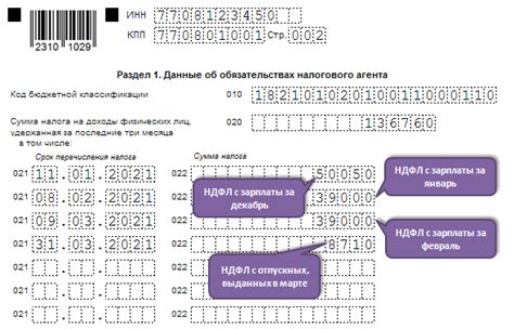 Как справиться с передачей декларации 6-НДФЛ самостоятельно: шаг за шагом