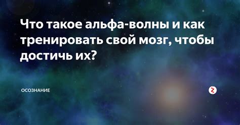 Как тренировать спутников и увеличить их мастерство