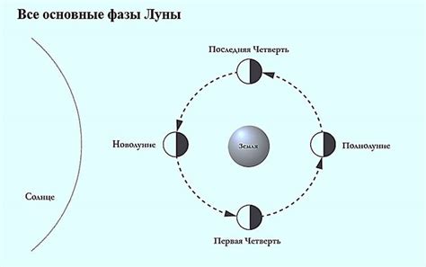 Как убывающая луна влияет на развитие растений: ключевые преимущества