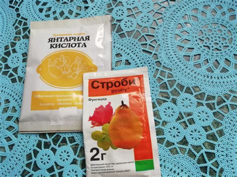 Как улучшить урожайность после борьбы с серым налетом