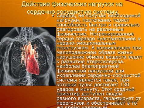 Как физическая активность благотворно воздействует на сердечно-сосудистую систему