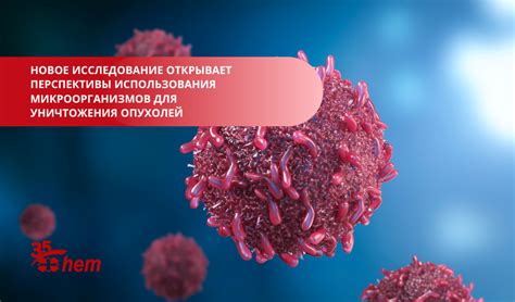 Канада: перспективы использования стволовых клеток в лечении рассеянного склероза