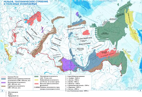 Карта распространения березы: основные страны-производители