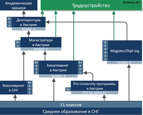 Карьерные пути драматурга после завершения учебы в высшем учебном заведении