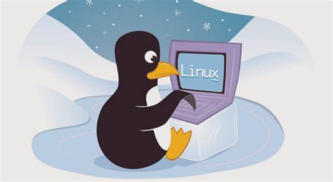 Каталоги и расположение скриншотов в различных дистрибутивах Linux