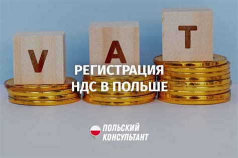 Категории и особенности статуса плательщика