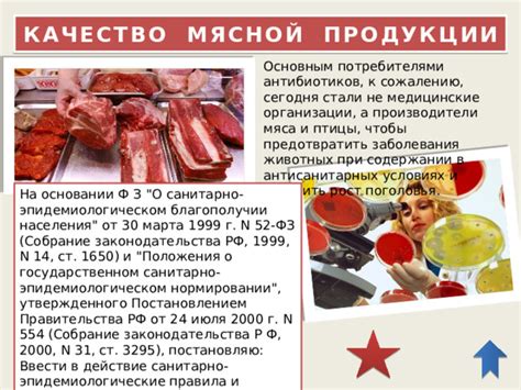 Качество мясной продукции в розничных торговых точках: информация для принятия осознанного выбора