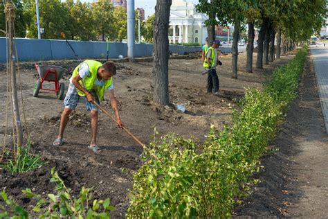 Качество озеленения и экологическая обстановка в районе Ждановичи