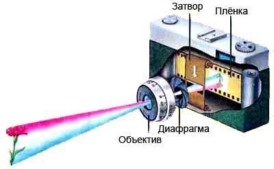 Качество фотографий: исследование возможностей двух соседних моделей