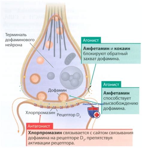 Классификация психоактивных препаратов по легальности