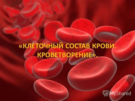 Клеточный состав соединительной ткани