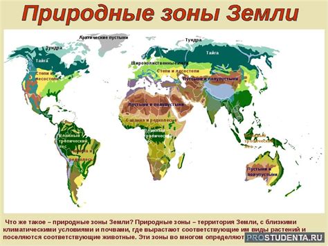 Климатические зоны и их характерные особенности