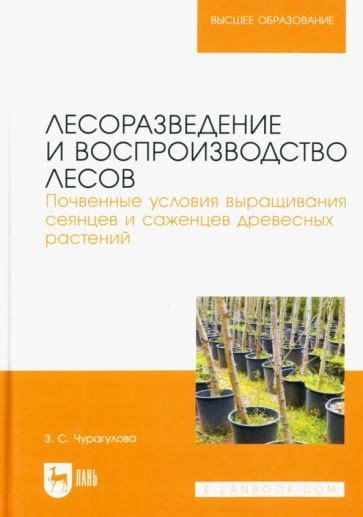 Климатические и почвенные условия для успешного разведения чая