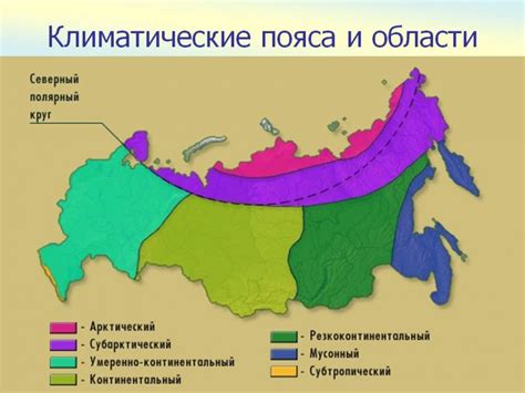 Климатические особенности земли Вологодской области и их роль в увеличении числа грибных урожаев