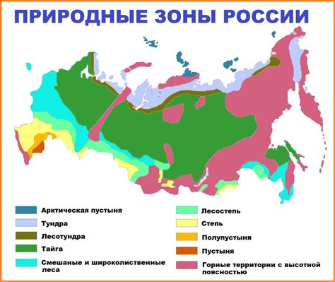 Климатические особенности приспособленных регионов для цветения злаковых растений