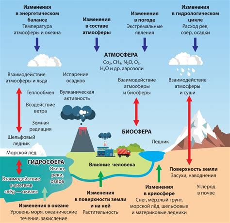 Климатические условия, влияющие на успешное разведение льна