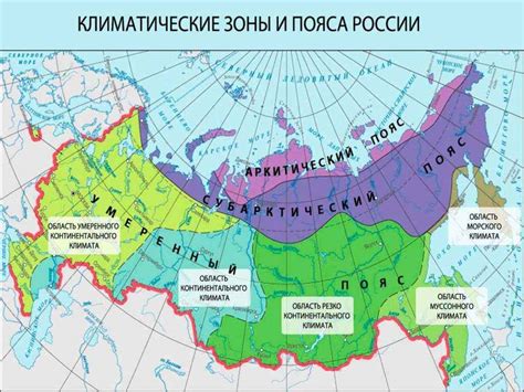 Климатические условия для процветания бамбука на территории РФ