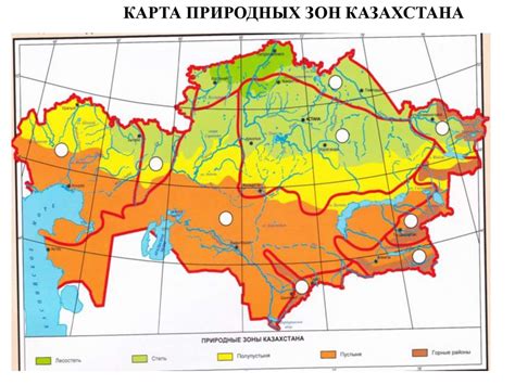 Климатические условия и богатства природы Совгавани