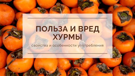 Климатические условия и особенности местообитания хурмы