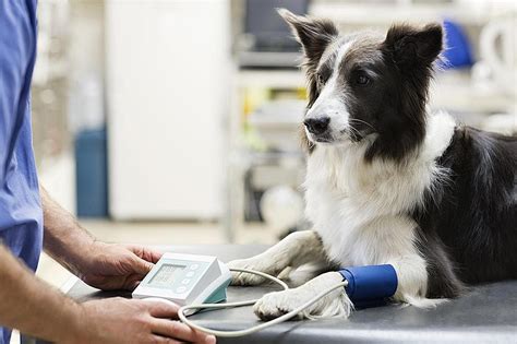 Клиники, где можно получить профессиональную помощь в области проктологии