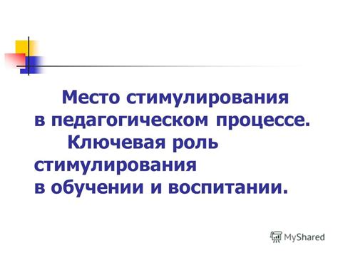 Ключевая роль слюны в процессе пищеварения