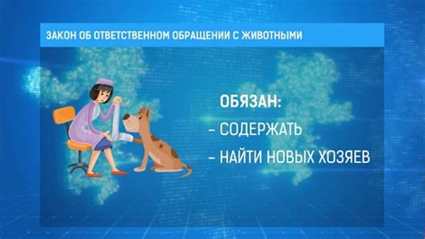 Ключевые моменты для идеальной парковки: мастерство в обращении с автомобилем