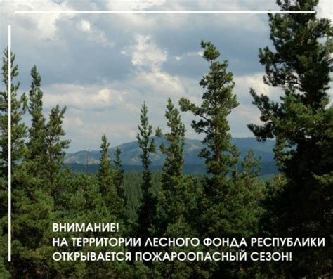 Ключевые перспективы и превосходства возведения сооружения на территории природного лесного фонда