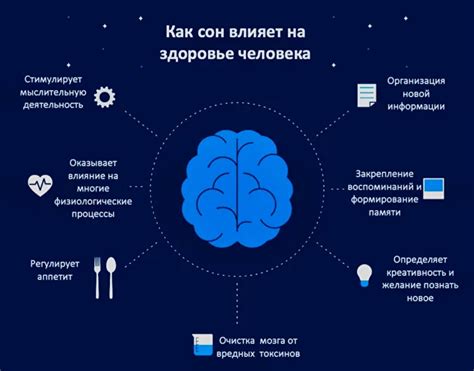 Ключевые факторы для поддержания здорового сна и его влияние на достижение успеха