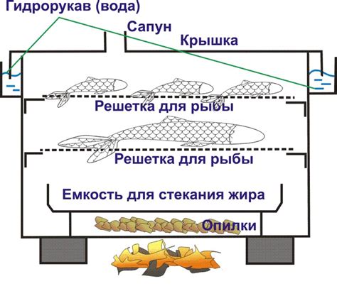 Ключевые этапы правильного приготовления мяса для горячего копчения