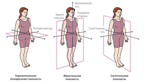 Когда и как начинаются движения вокруг оси