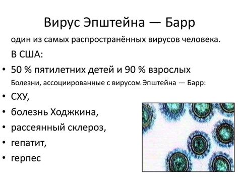 Когда обратиться к врачу при подозрении на вирус Эпштейна-Барра у взрослых