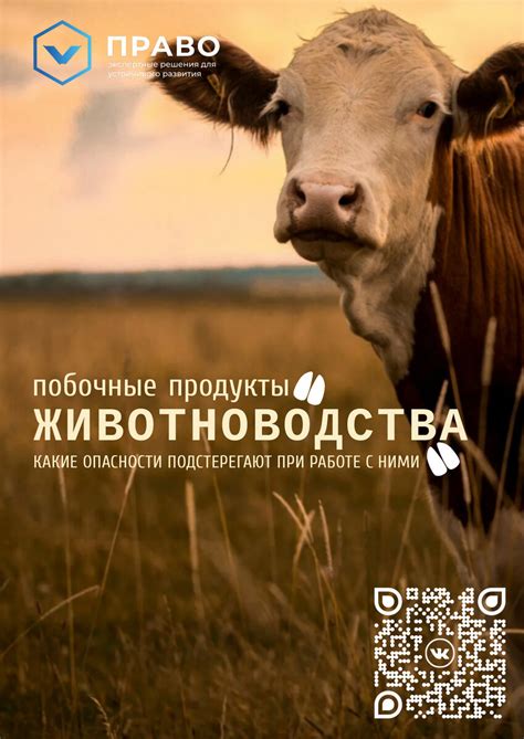 Когда продукты становятся альтернативной формой оплаты