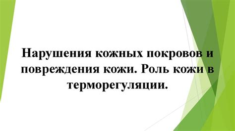Кожа: важная роль в защите и терморегуляции
