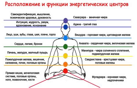 Количество энергетических центров в организме: фактические данные и вариации