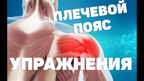 Комплекс упражнений для укрепления мышц с помощью специального пояса