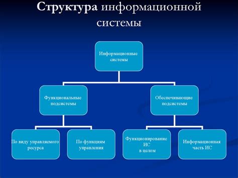 Компоненты и принципы работы информационной системы