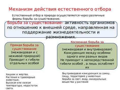 Конкуренция: двигатель естественного отбора