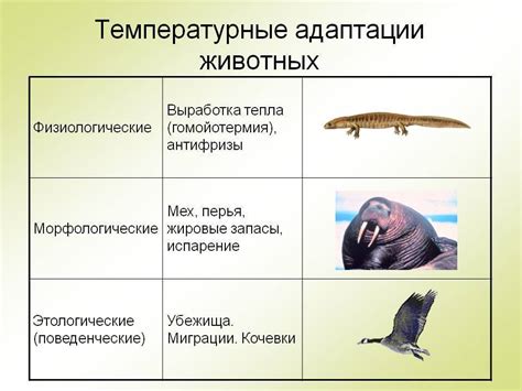 Конкуренция и адаптация видов