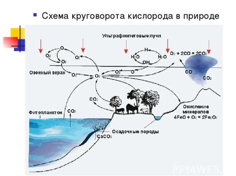 Контроверсии в научных кругах о природе кислорода