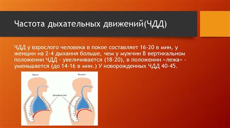 Контроль за дыханием: регулирование сонных нарушений и оценка качества дыхания