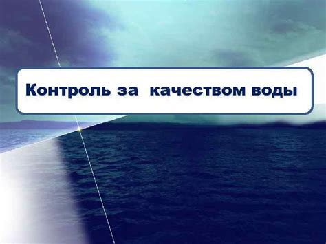 Контроль за качеством: предпочтение кошками чистой воды